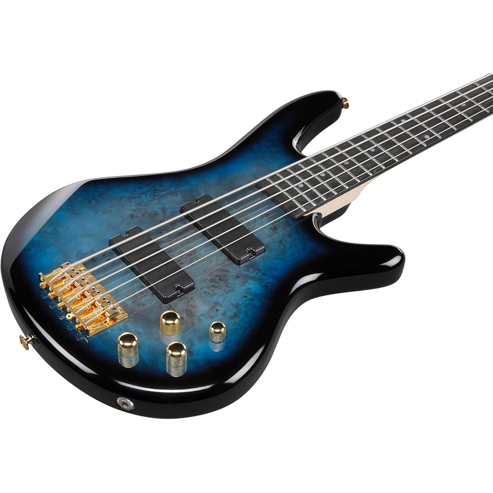 Bajo Eléctrico 5 Cuerdas Ibanez GSR205PC - Transparent Marine Burst foto 5