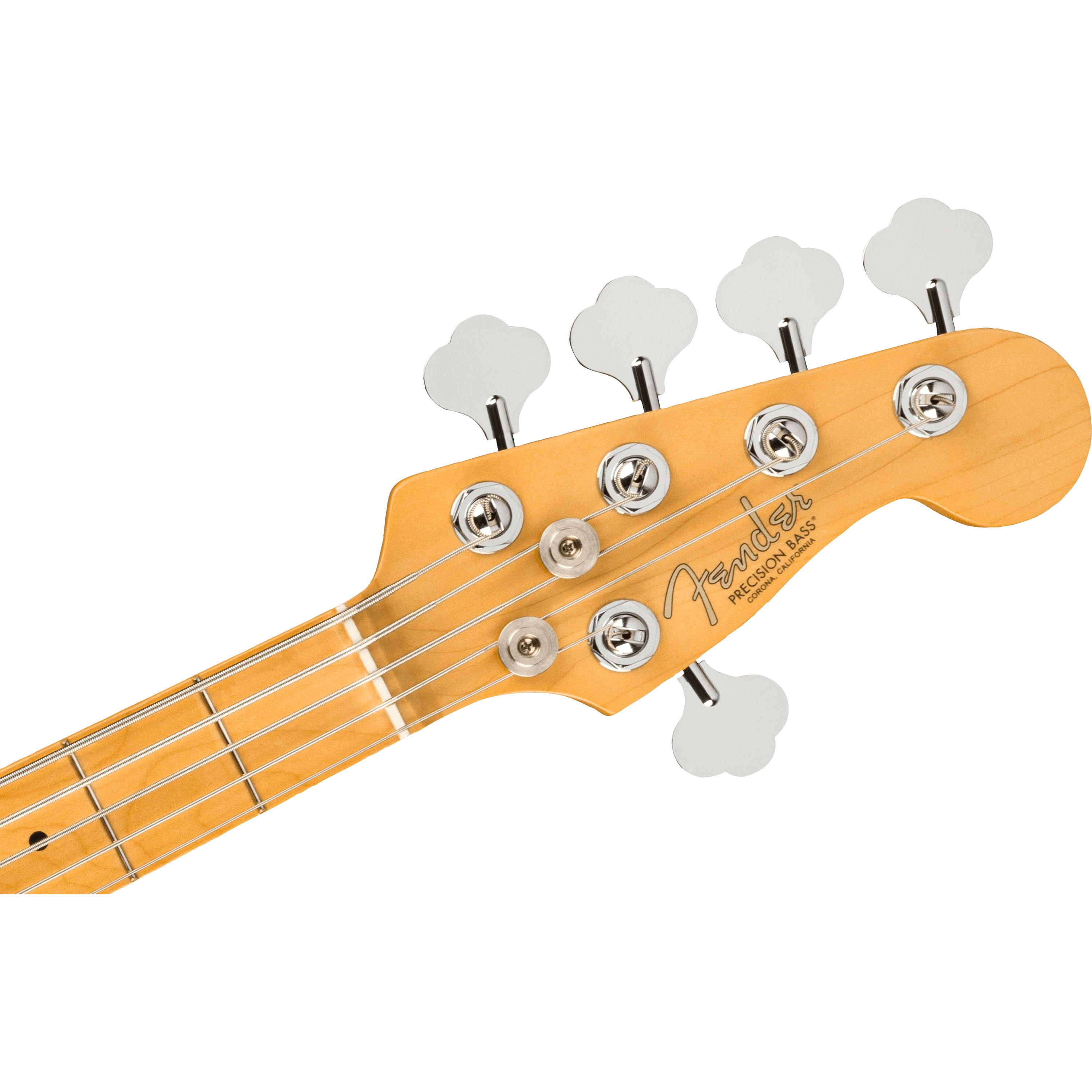 Bajo eléctrico Fender American Professional II Precision Bass V - Dark Knight foto 3