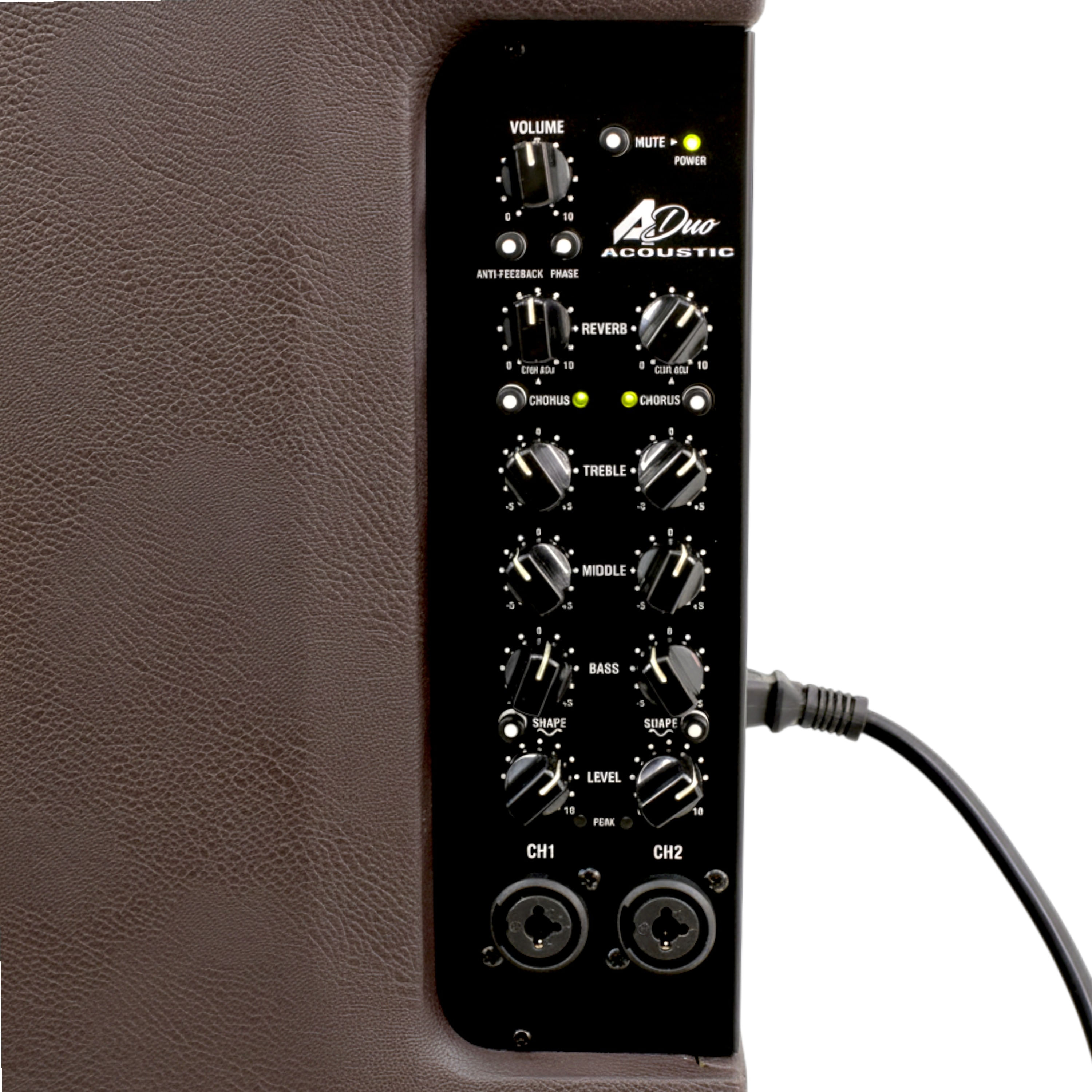 Amplificador de guitarra Laney A-DUO - 120W Acoustic foto 3