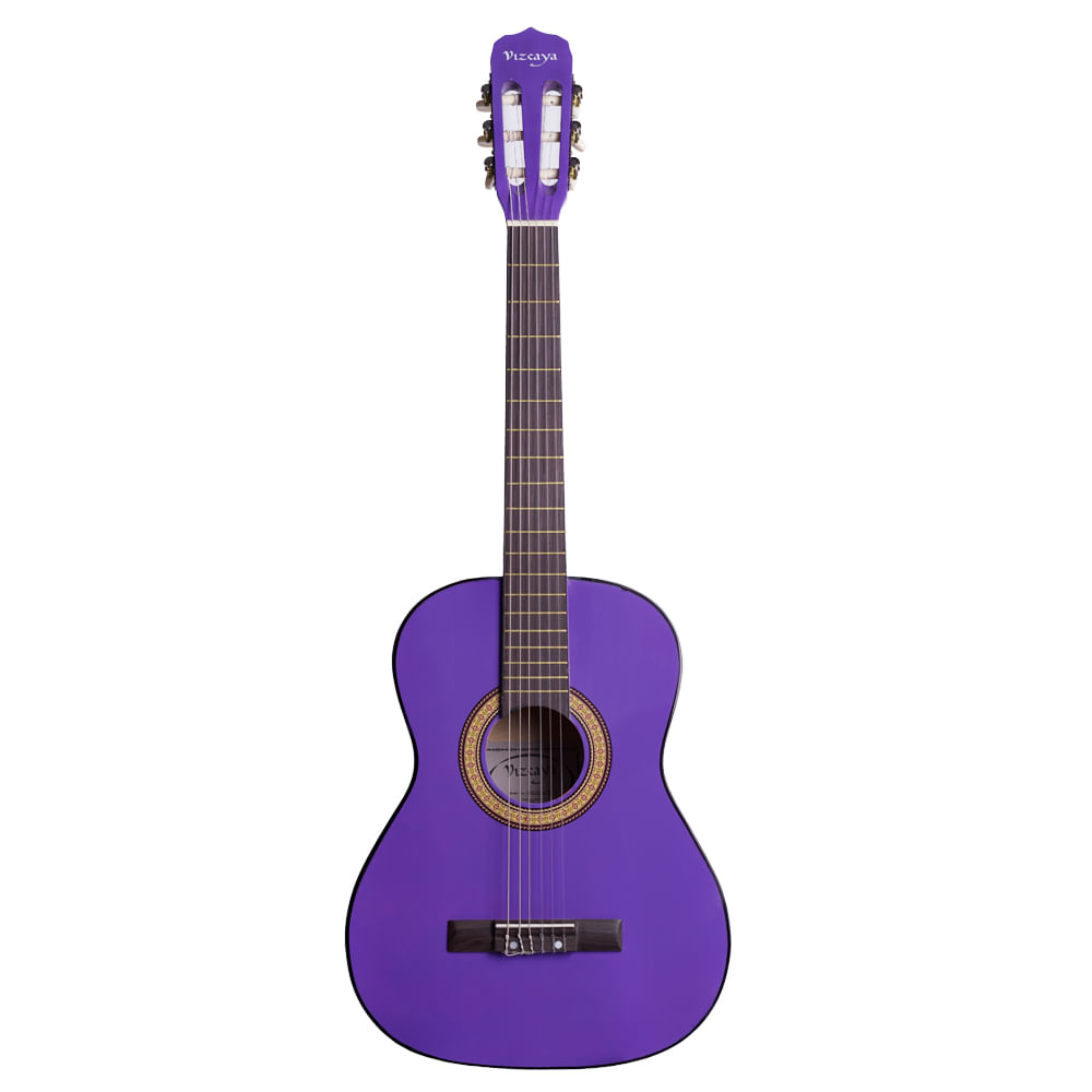Guitarra acústica Vizcaya 3/4 ARCG34 TP foto 2