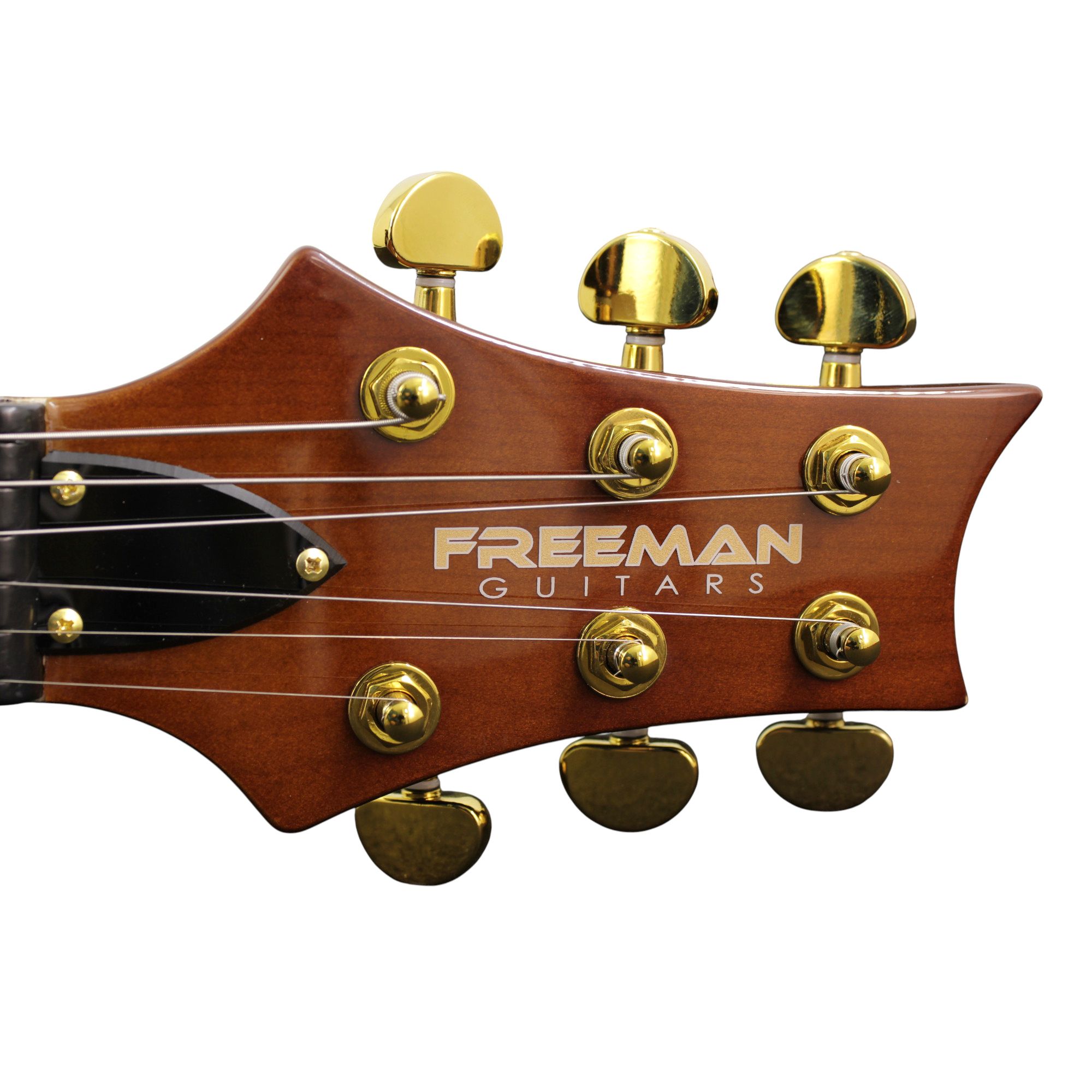 Guitarra Eléctrica Freeman Sky Series - Twilight foto 4
