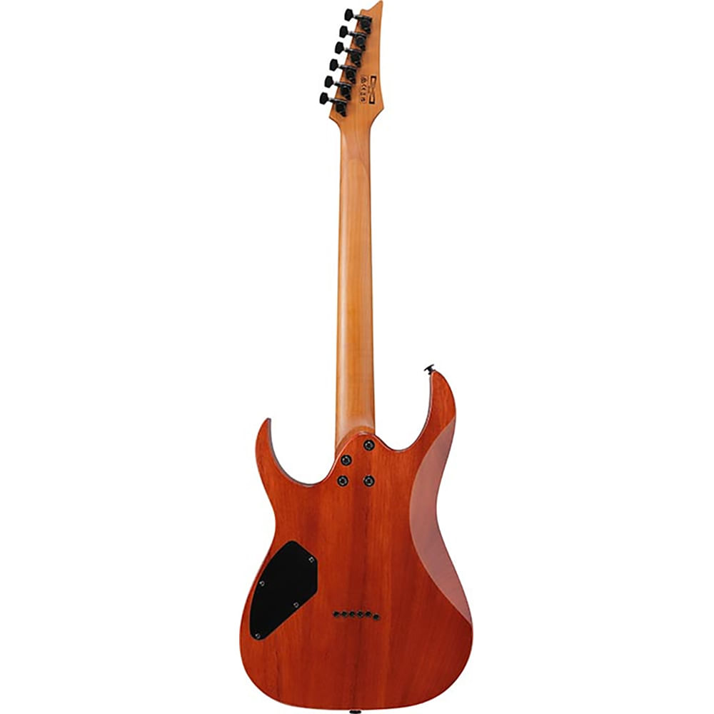Guitarra Eléctrica Ibanez GRGR221FA - Transparent Indigo Black foto 4
