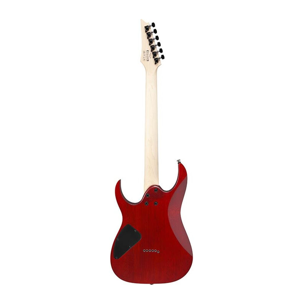 Guitarra eléctrica Ibanez RG421PB CHF - Caribbean Shoreline Flat foto 3