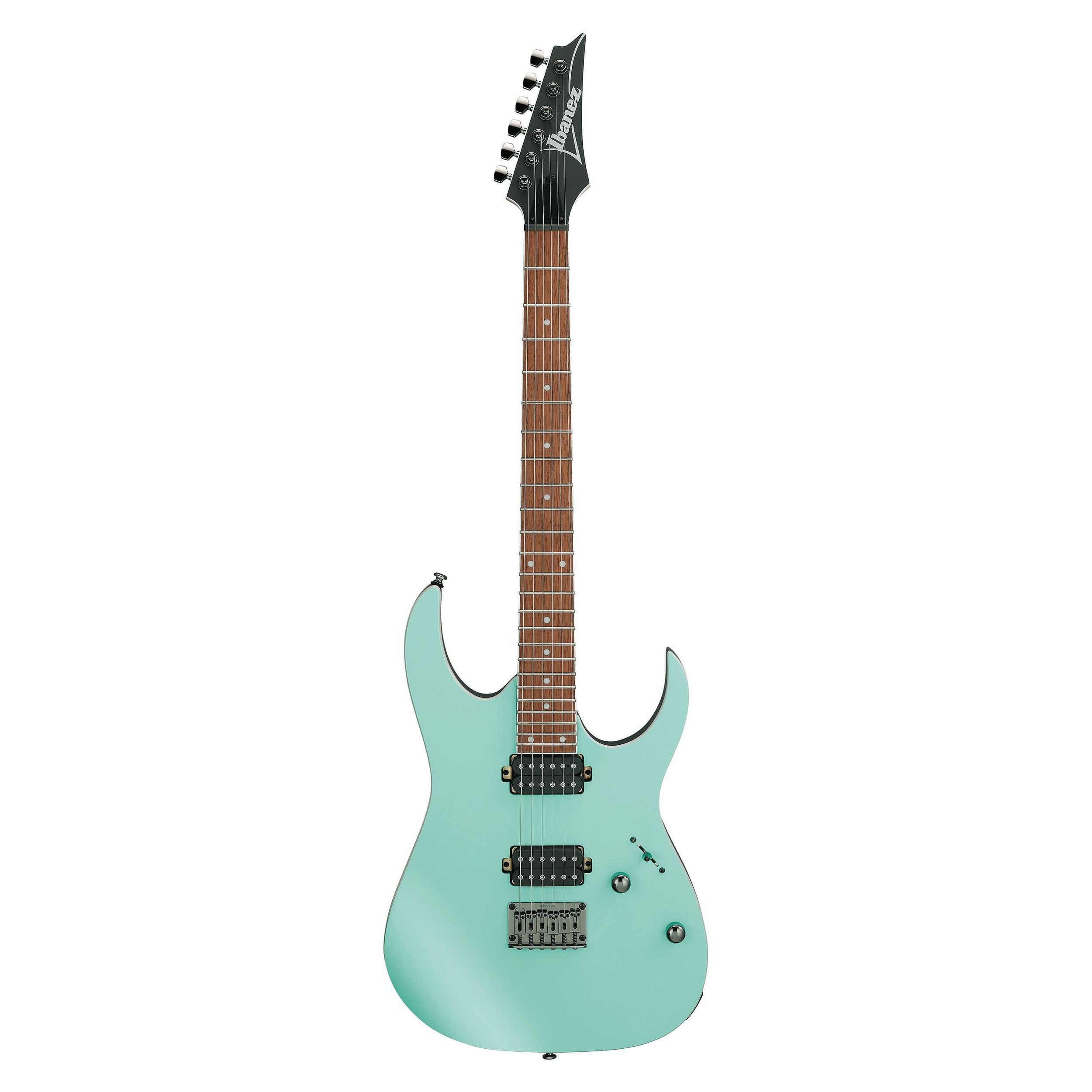 Guitarra eléctrica Ibanez RG421S - Sea Shore Matte foto 2
