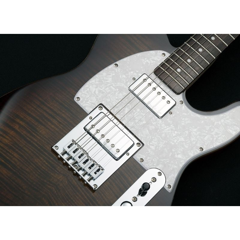 Guitarra eléctrica Michael Kelly 53DB color "Dark Tiger's Eye foto 4