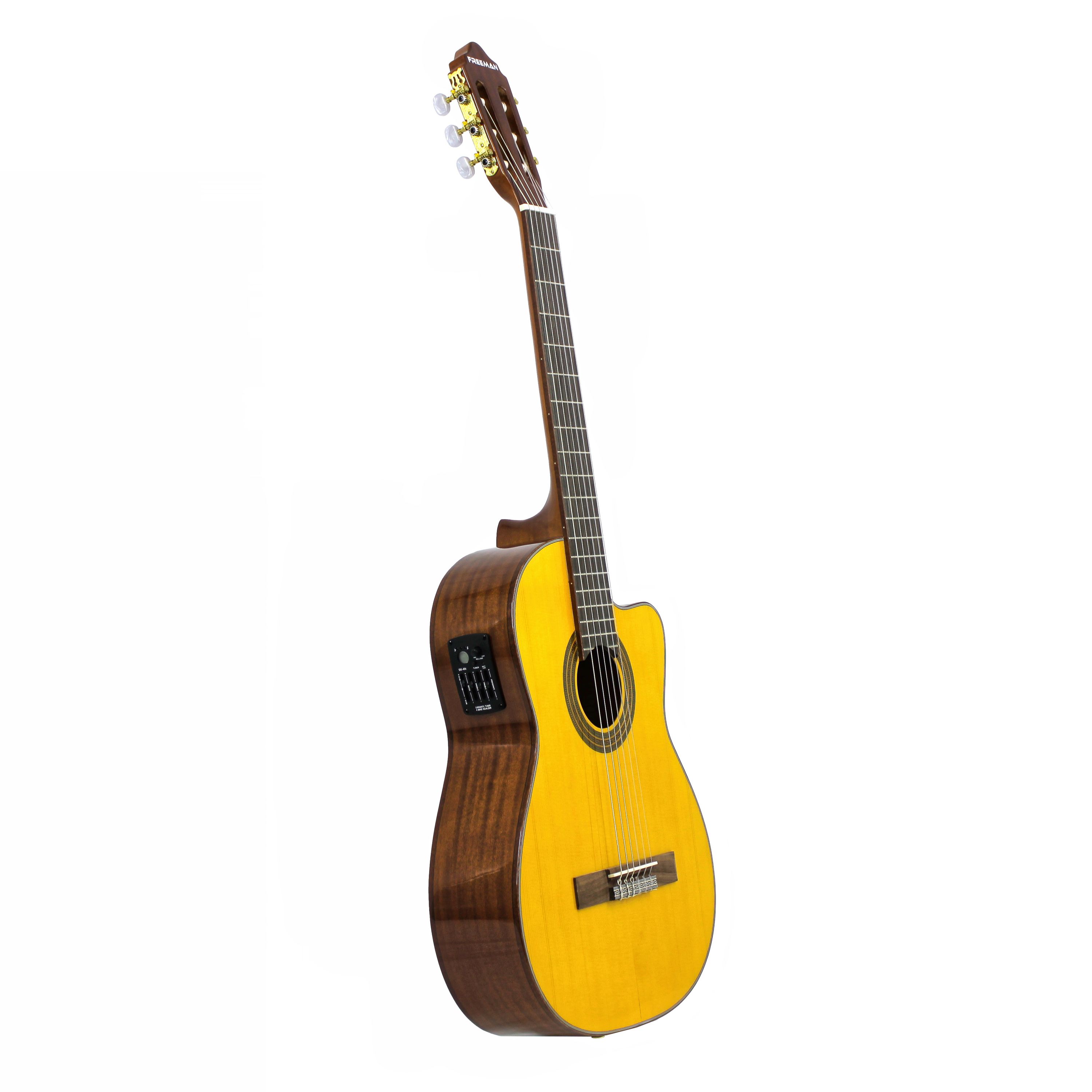 Guitarra electroacústica Freeman C112-EN NT foto 2