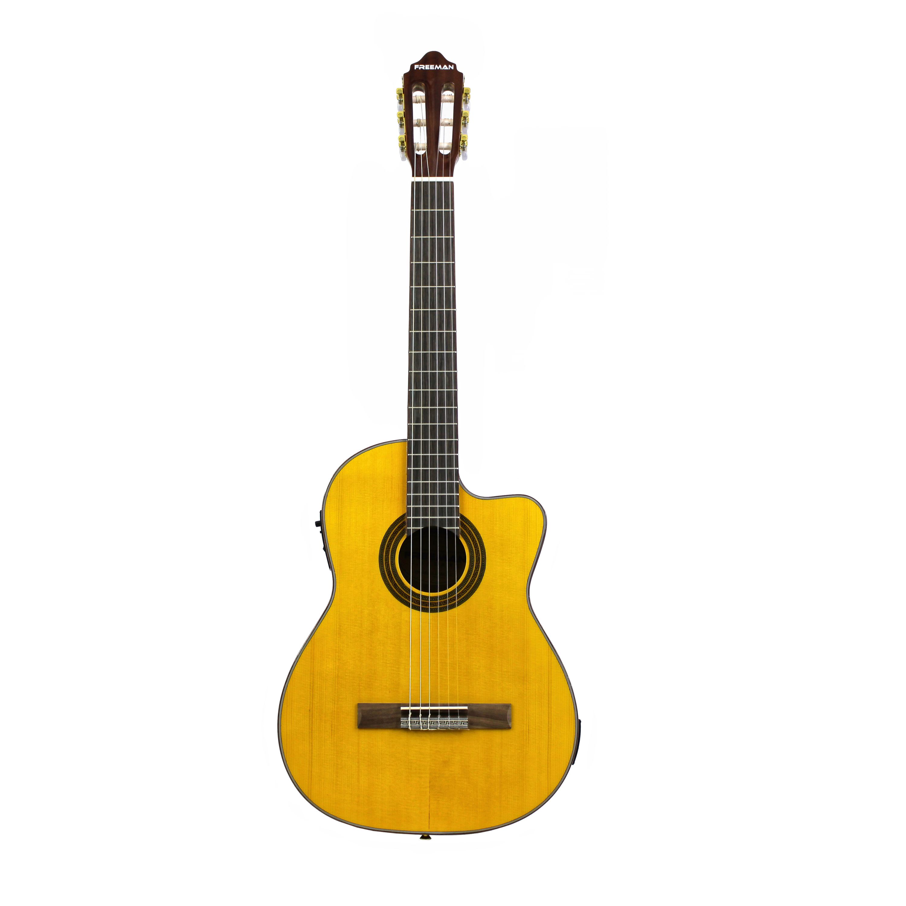 Guitarra electroacústica Freeman C112-EN NT foto 4
