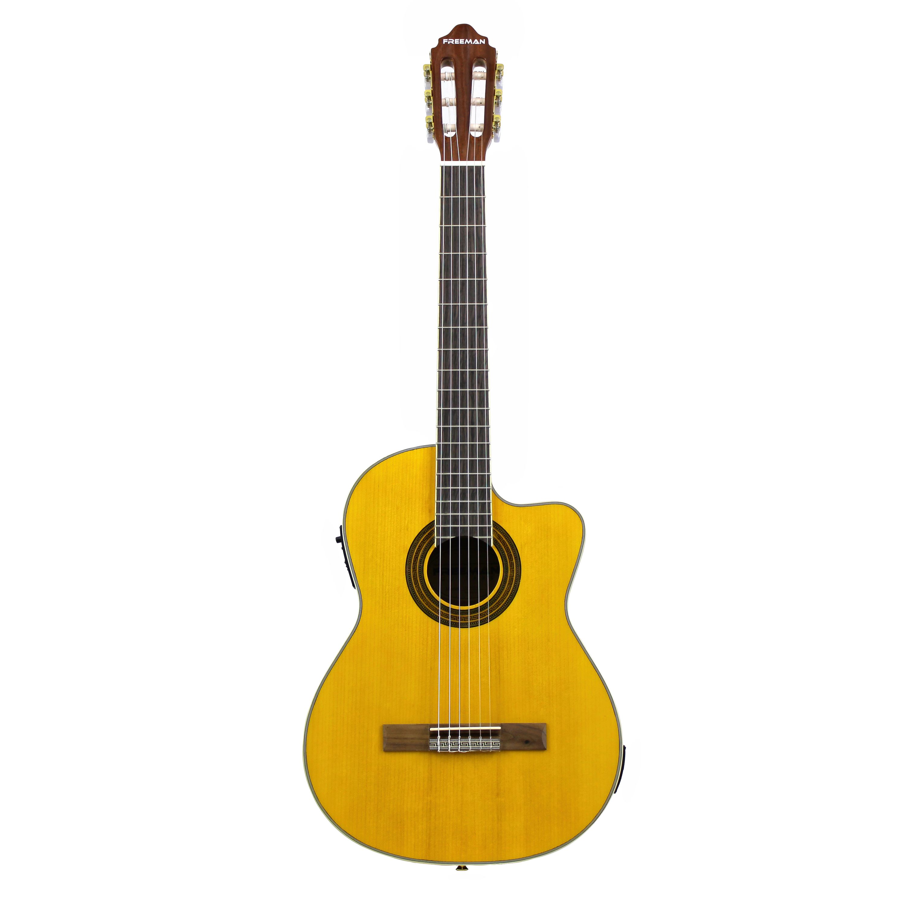 Guitarra electroacústica Freeman CG190 NT foto 4