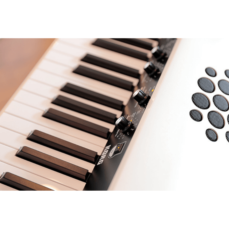 Piano digital Korg 88 Teclas SV-2S - Silver foto 4