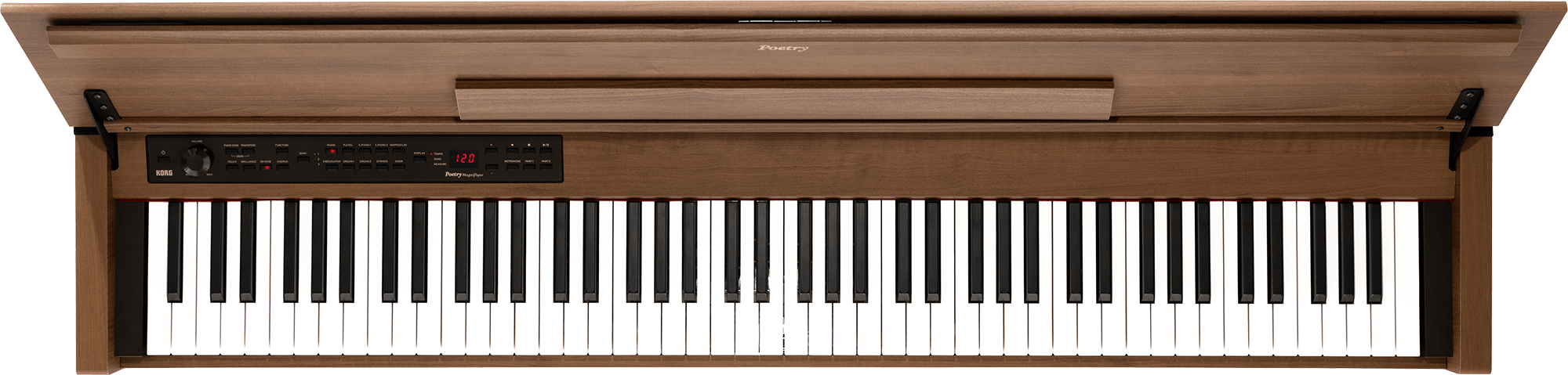 Piano digital Korg Magnifique - Poetic Brown foto 5