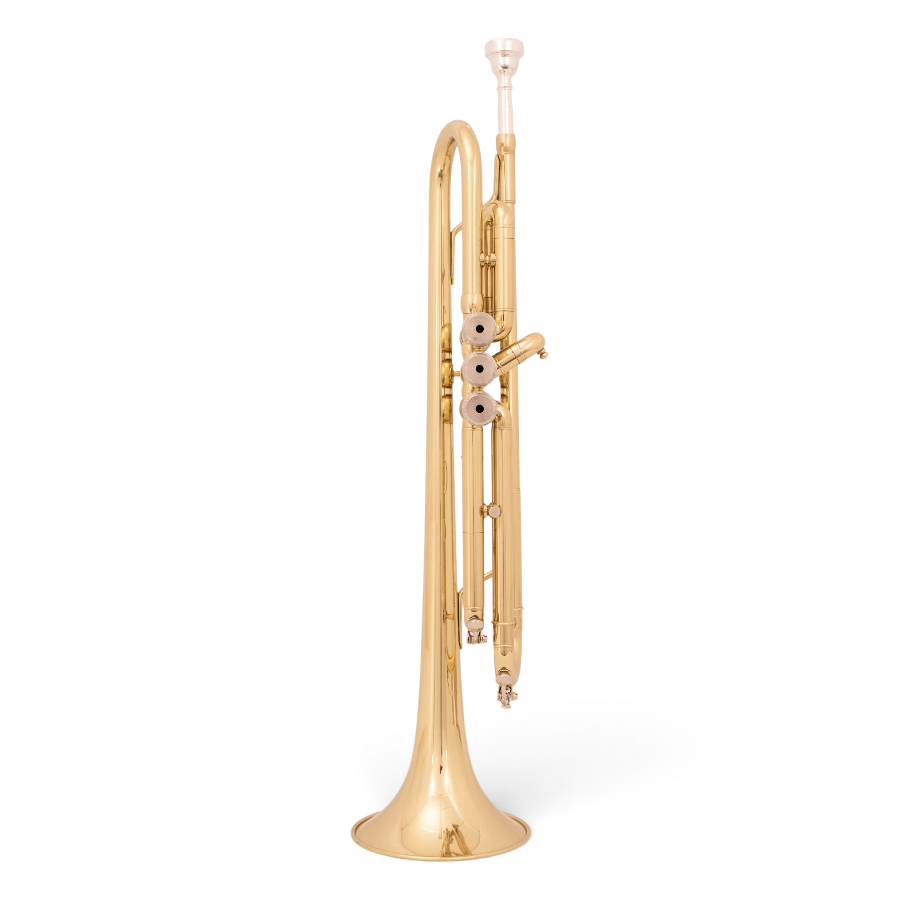 Trompeta Baldassare Studio Gold foto 4