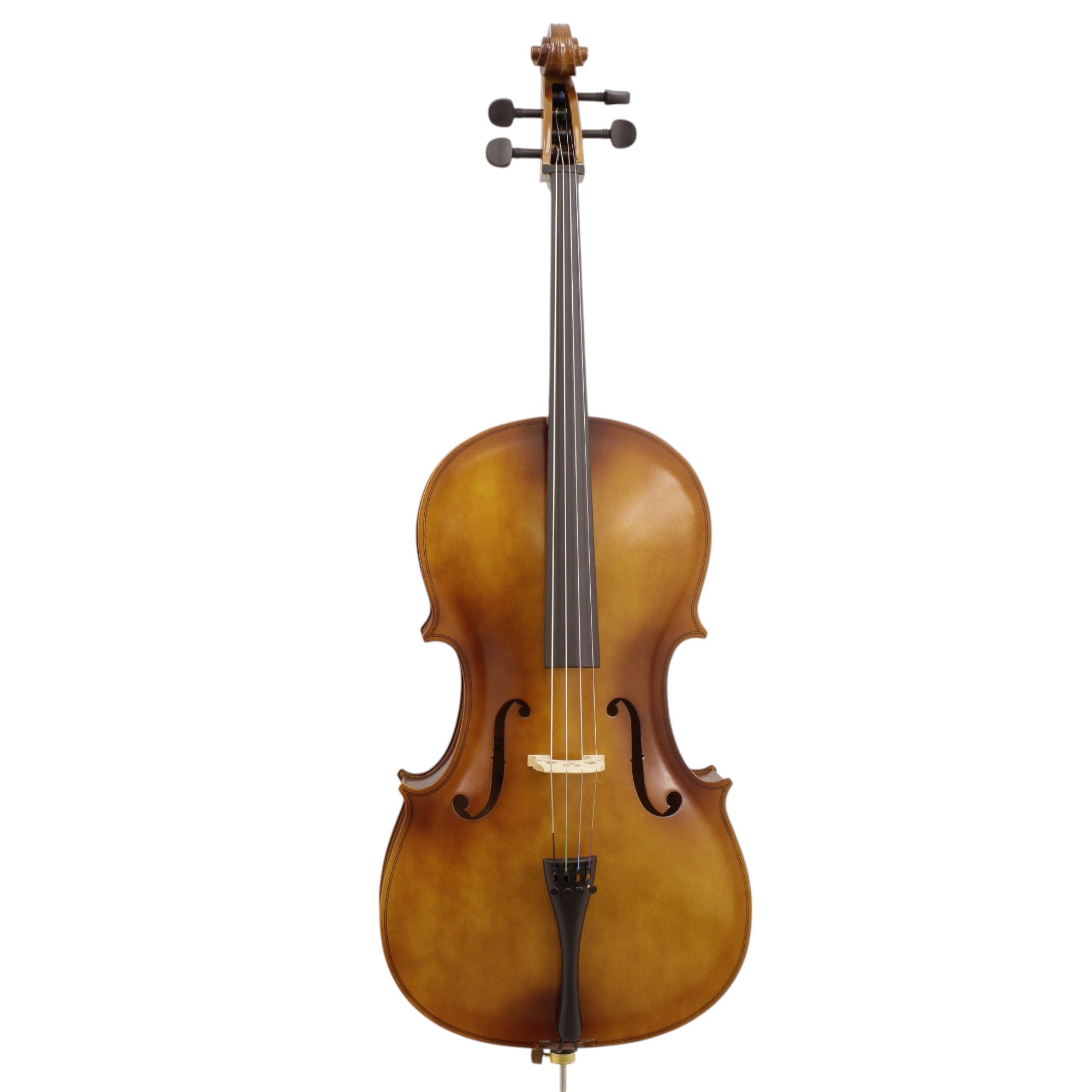 Violoncello Freeman Classic 1/2 CP102H LTB foto 2