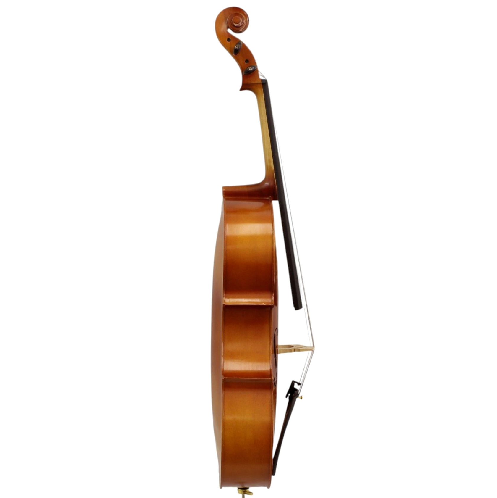 Violoncello Freeman Classic 4/4 CP101E SMT foto 2