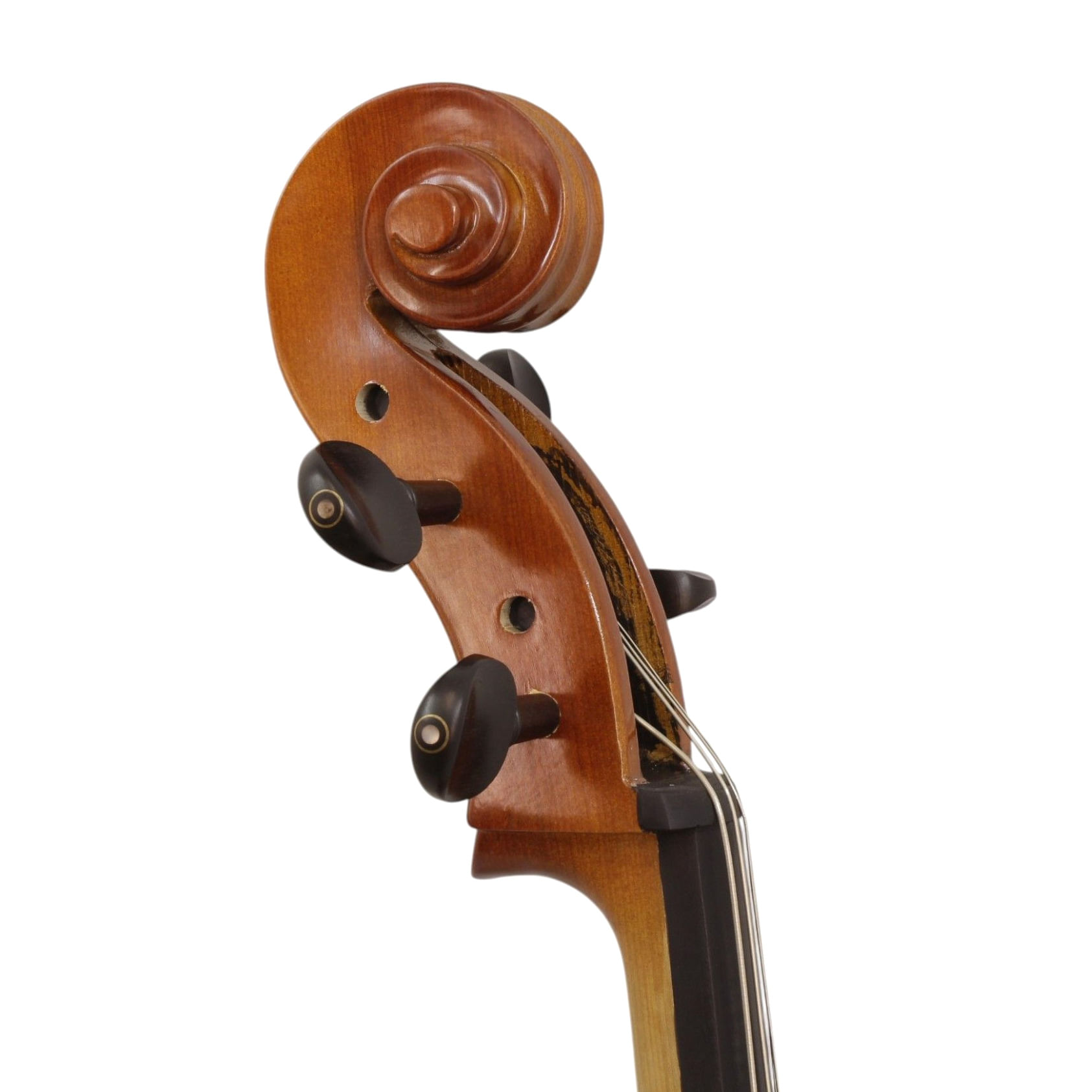 Violoncello Freeman Classic 4/4 CP101E SMT foto 4