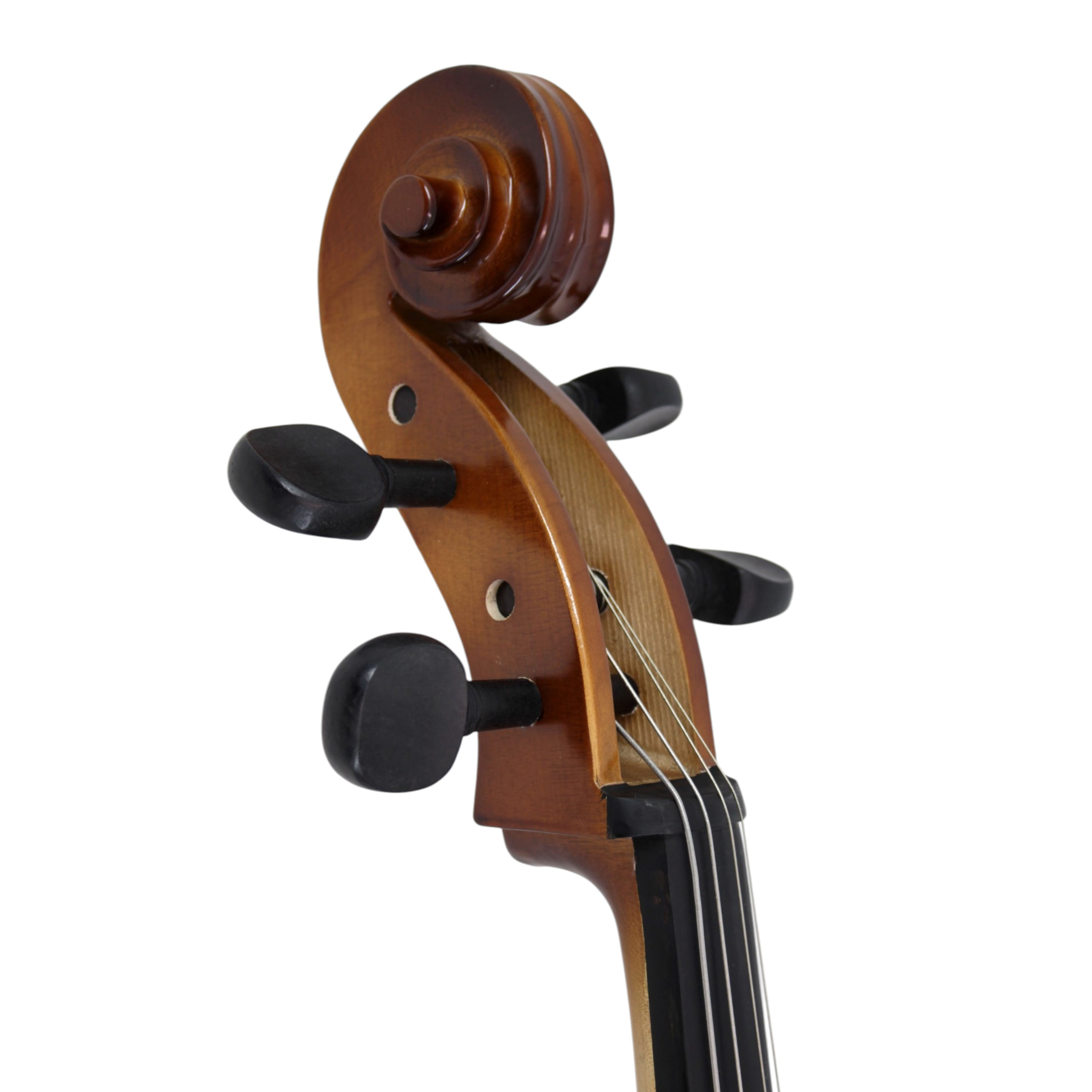 Violoncello Freeman Classic 4/4 CS101H foto 4