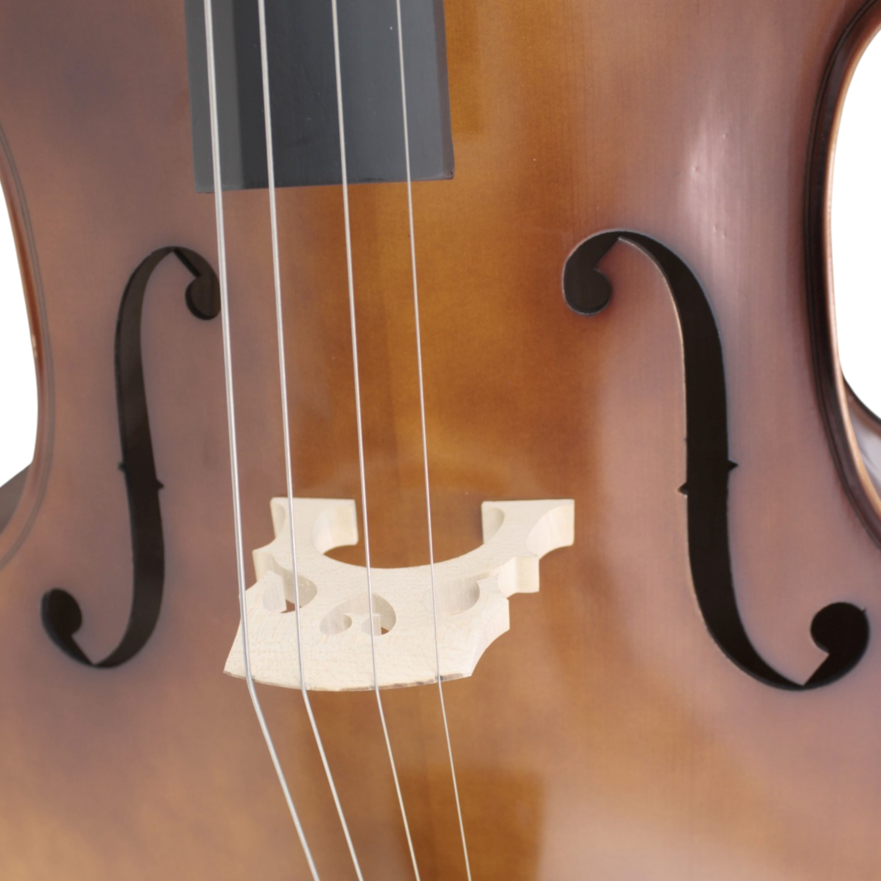 Violoncello Freeman Classic 4/4 CS101H foto 5